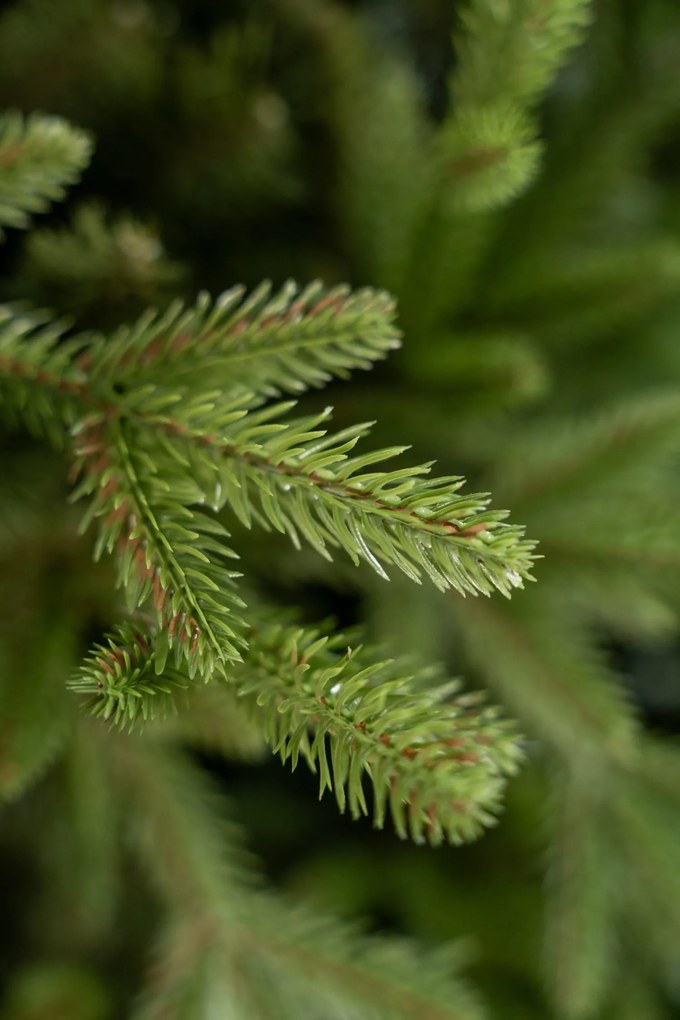 Limpol Vianočný stromček Jedľa Exclusive – 170 cm