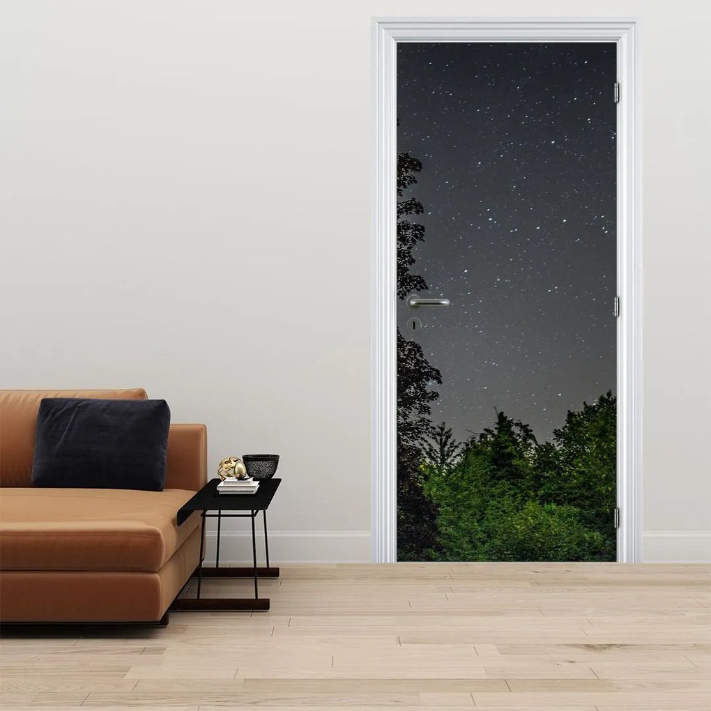 Fototapeta na dvere - Nočná obloha (95x205cm)