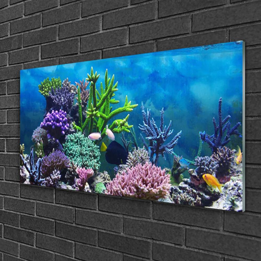 Skleneny obraz Akvárium rybičky pod vodou 140x70 cm
