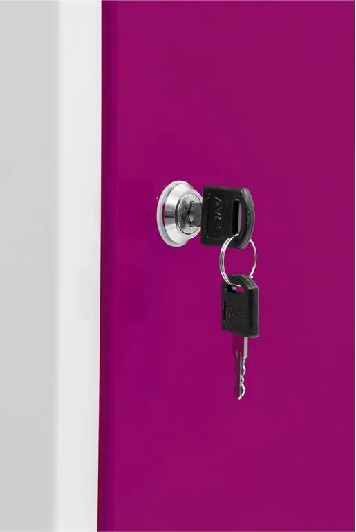 Kovová šatníková skriňa Trestles SS2M 1800x600x500 mm, 2 oddiely, fialové dvere Podnož: nožičky, Zámok: cylindrický