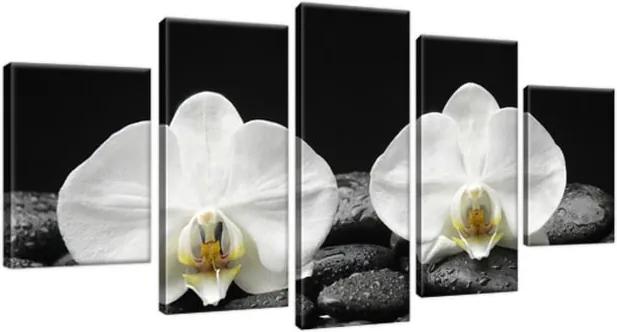 Obraz na plátne Biela orchidea a čierny kameň 150x70cm 1709A_5B