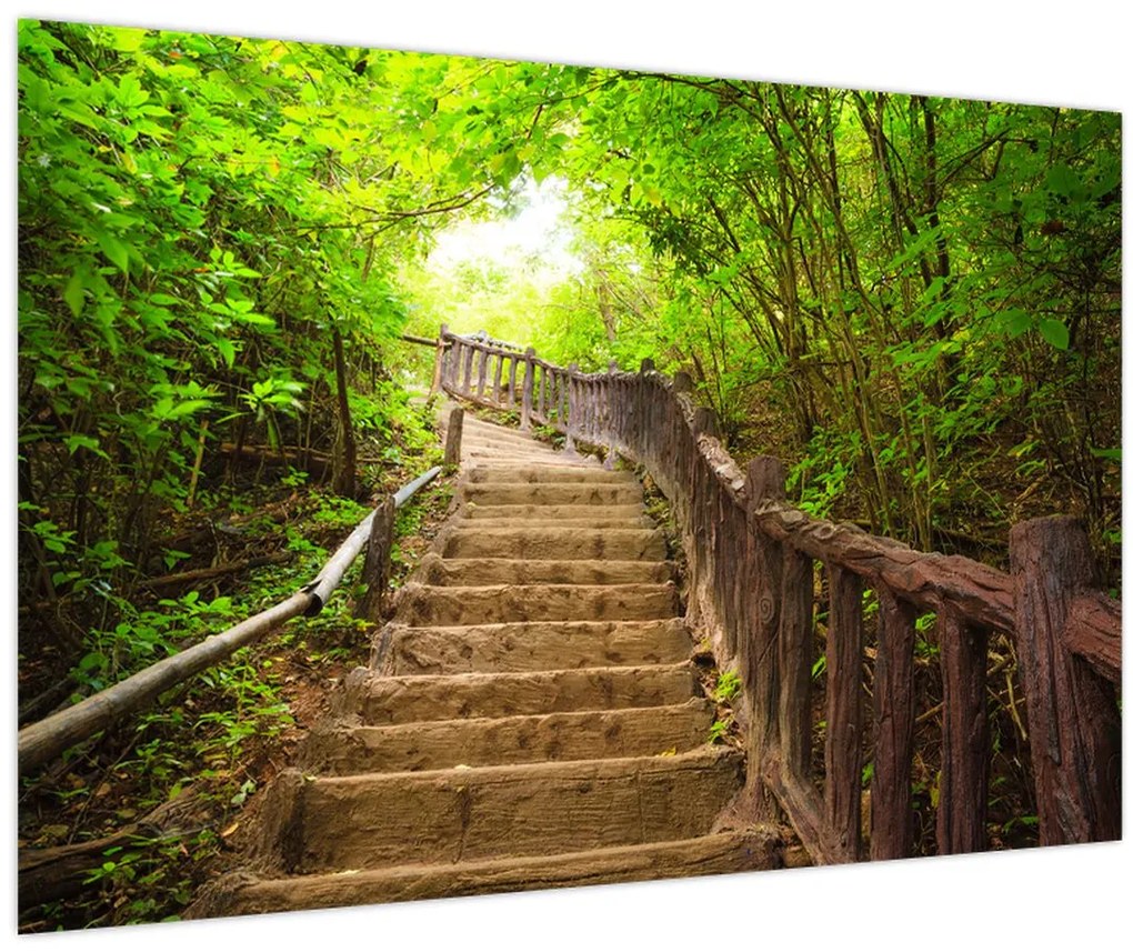 Obraz - Schody v prírode (90x60 cm)