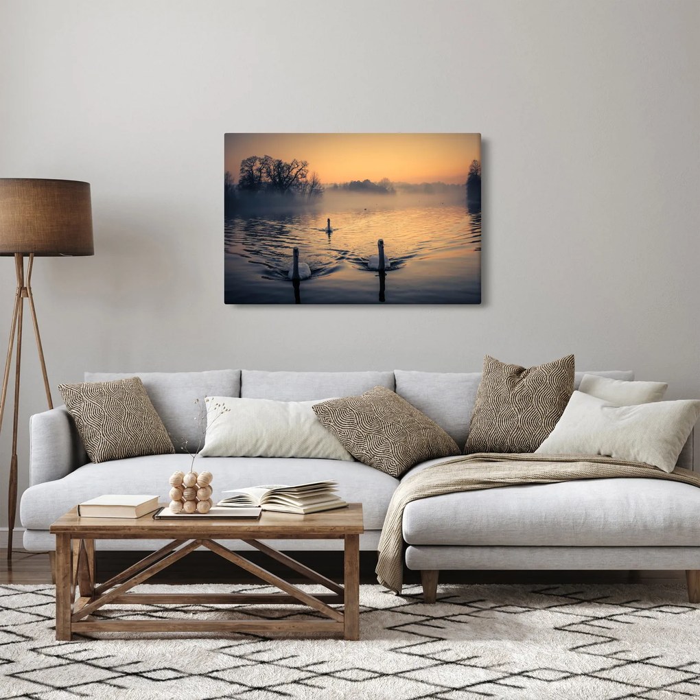 Obraz labutí na vode v hmle (90x60 cm)