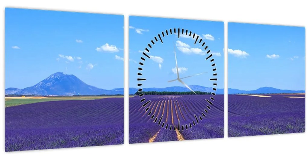 Obraz - Levanduľové pole (s hodinami) (90x30 cm)