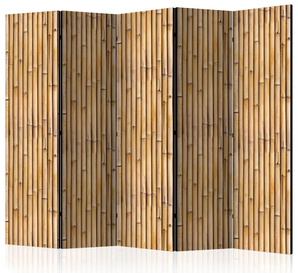Artgeist Paraván - Amazonian Wall II [Room Dividers]