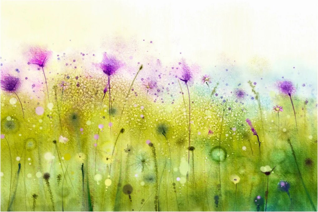 Obraz - Lúčne kvety (90x60 cm)