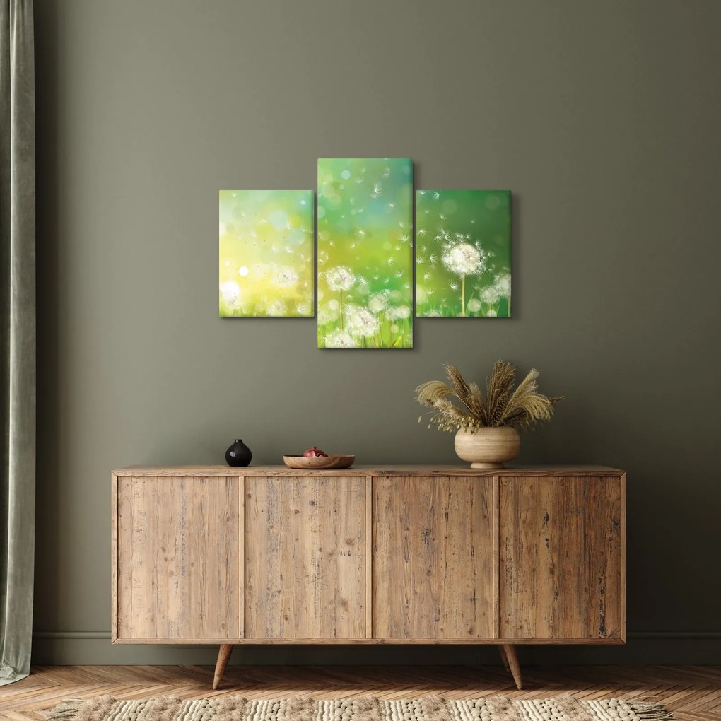 Obraz - Odkvitnuté púpavy (90x60 cm)