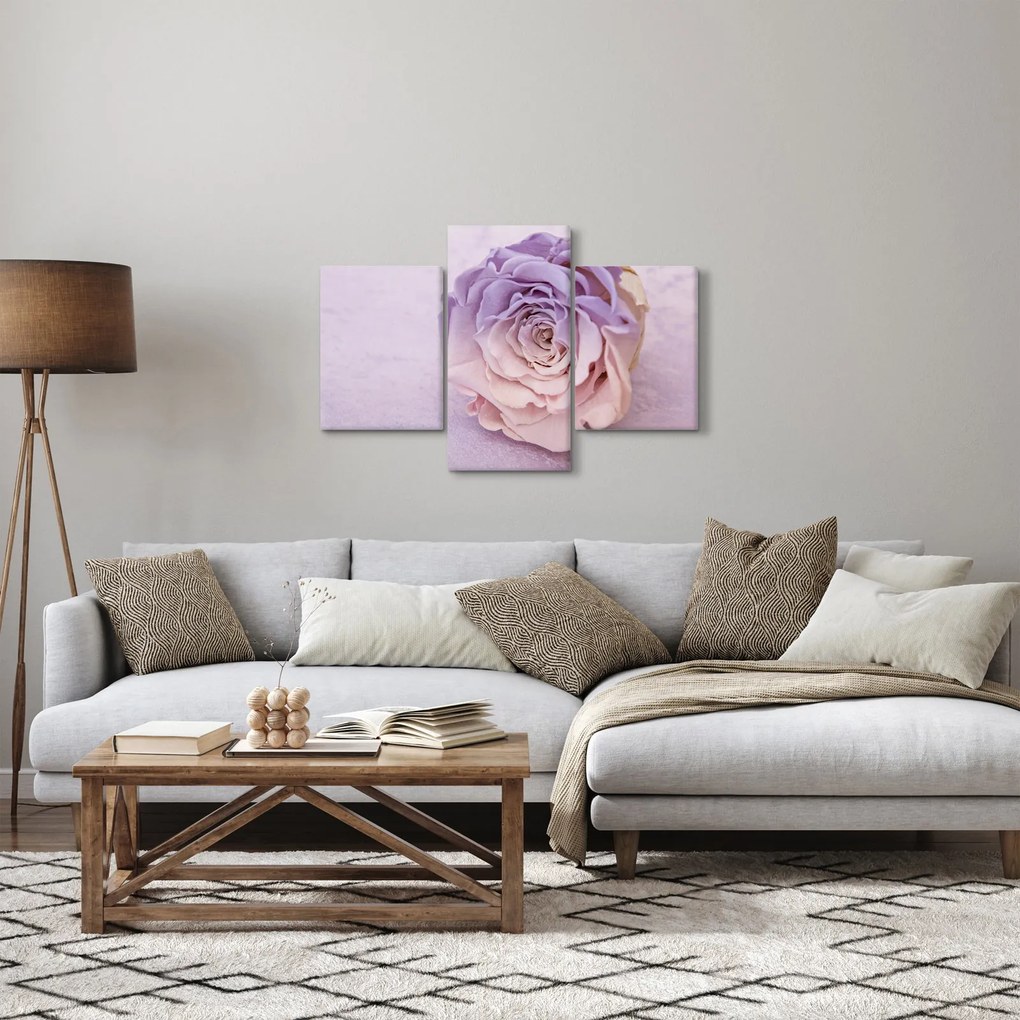 Obraz detailu kvetu ruže (90x60 cm)