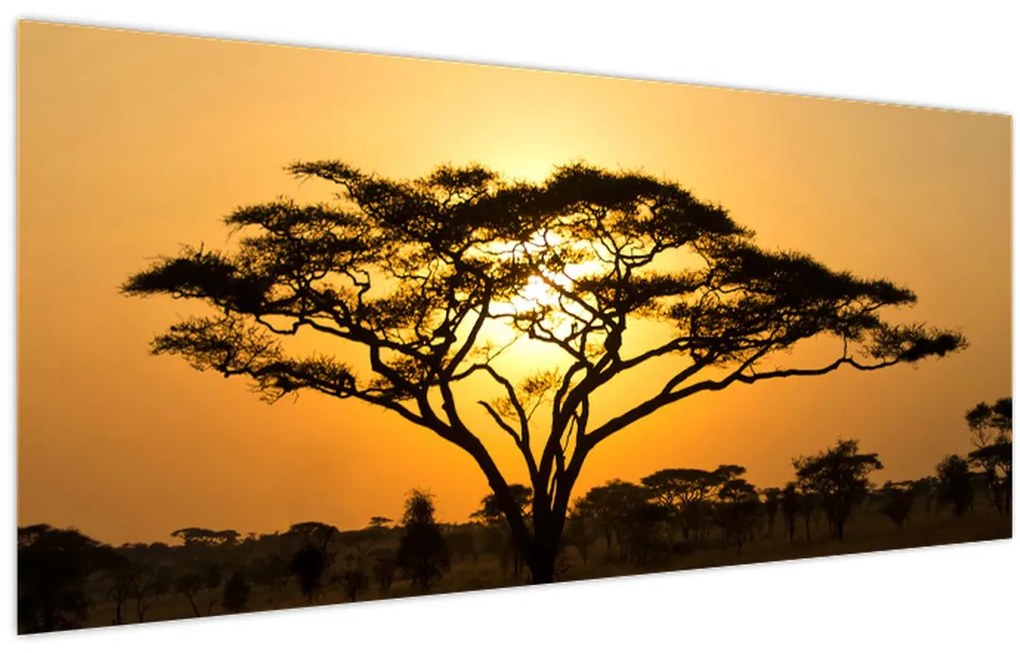 Obraz - Africká savana (120x50 cm)