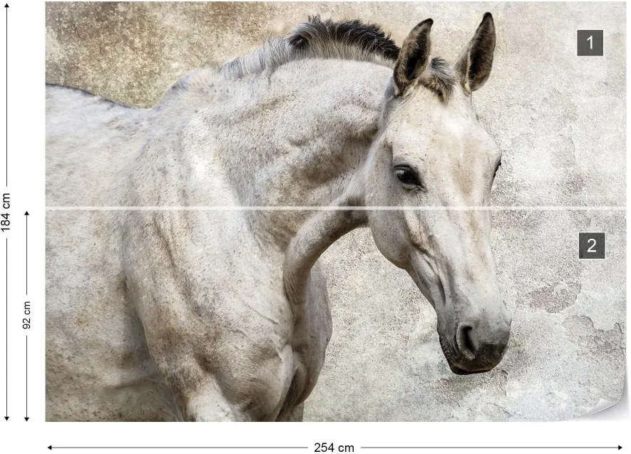 Fototapeta GLIX - Beautiful White Horse + lepidlo ZADARMO Vliesová tapeta  - 254x184 cm