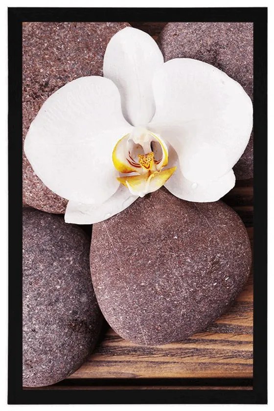 Plagát wellness kamene a orchidea na drevenom pozadí - 30x45 white