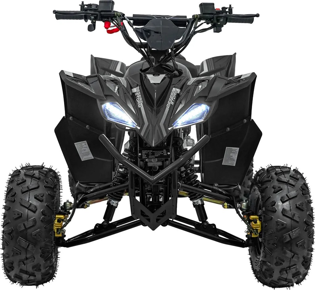 Ramiz Štvorkolka DESERT STORM LIFT čierna