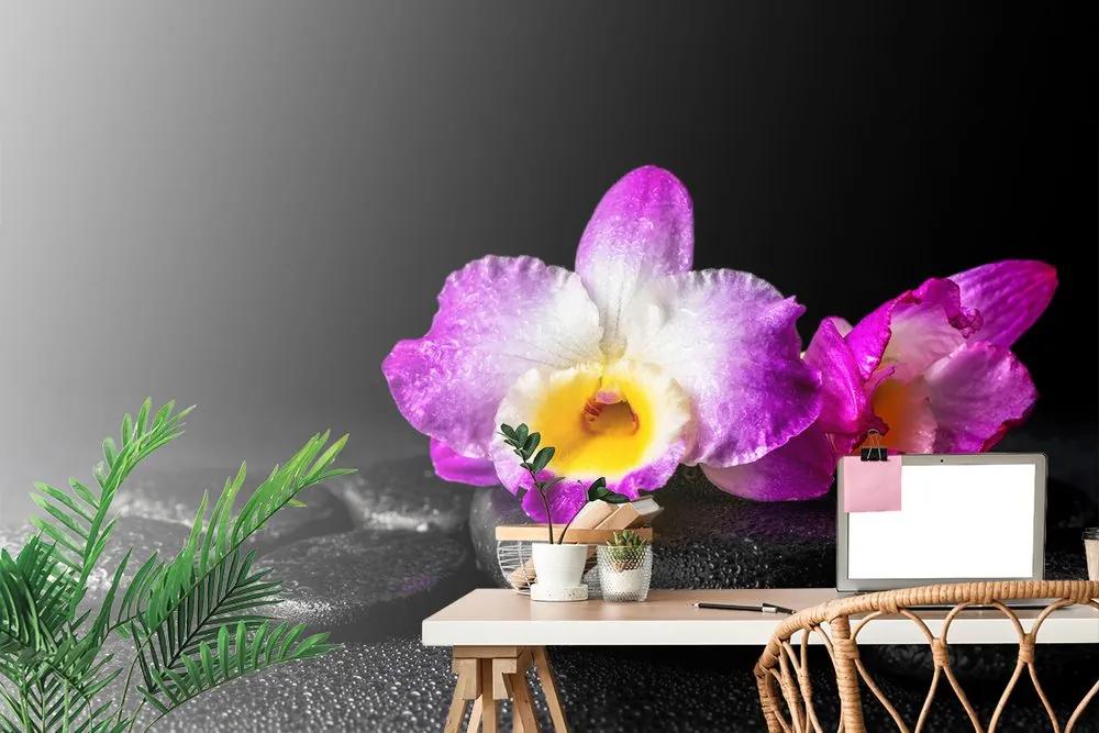 Samolepiaca tapeta relaxačné zátišie s orchideou