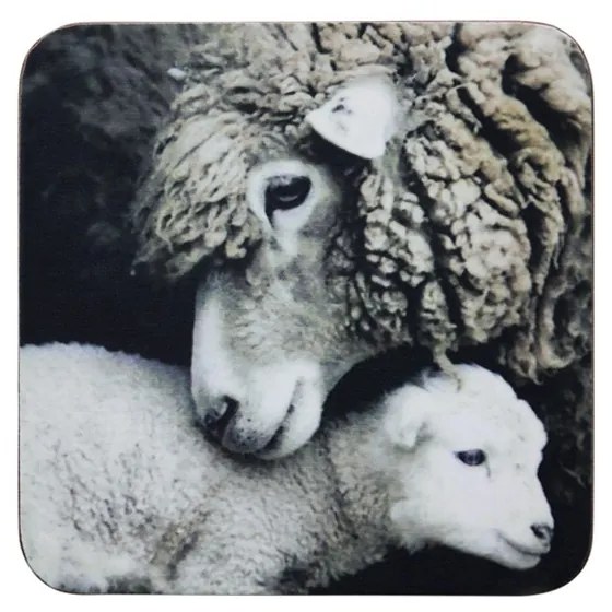 6 ks pevné korkové podtácky Ovce - 10 * 10 * 0,4 cm