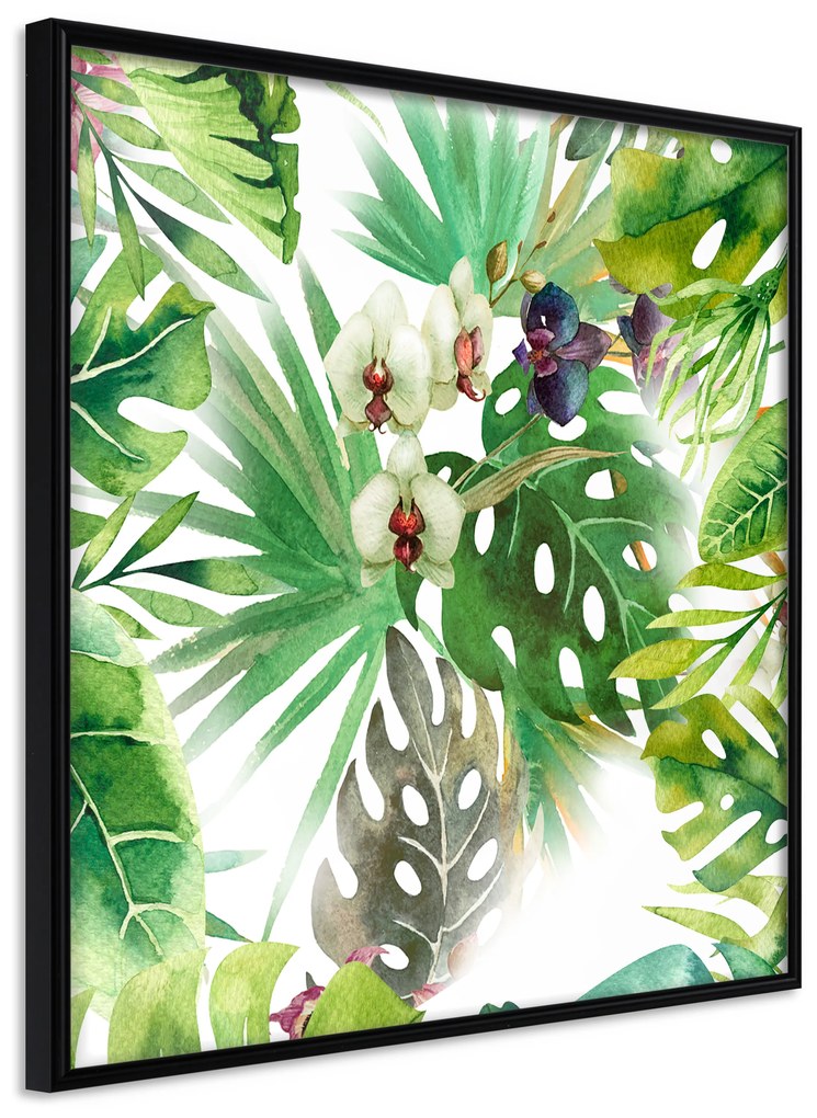 Artgeist Plagát - Tropical Shadow (Square) [Poster] Veľkosť: 50x50, Verzia: Zlatý rám