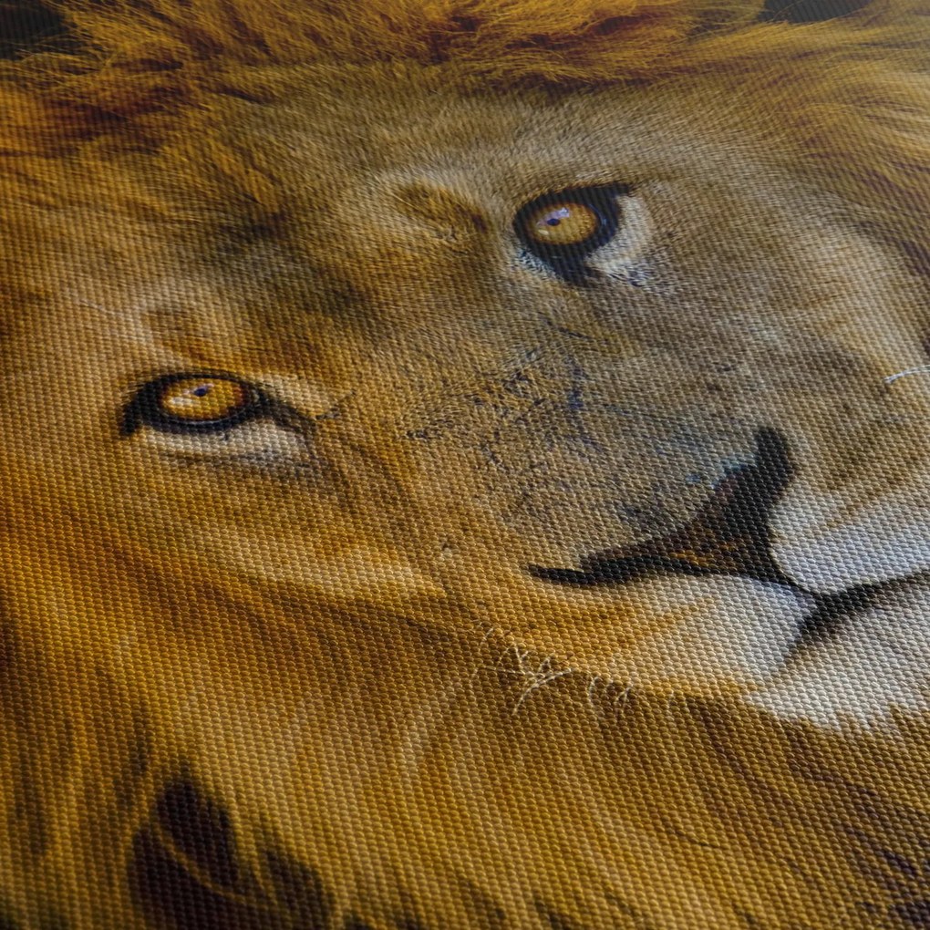 Obraz - Portrét leva (90x60 cm)