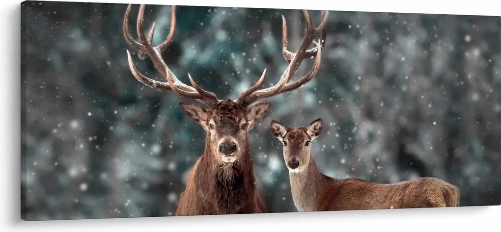 Obraz - Jeleň a laň v zasneženom lese (120x50 cm)