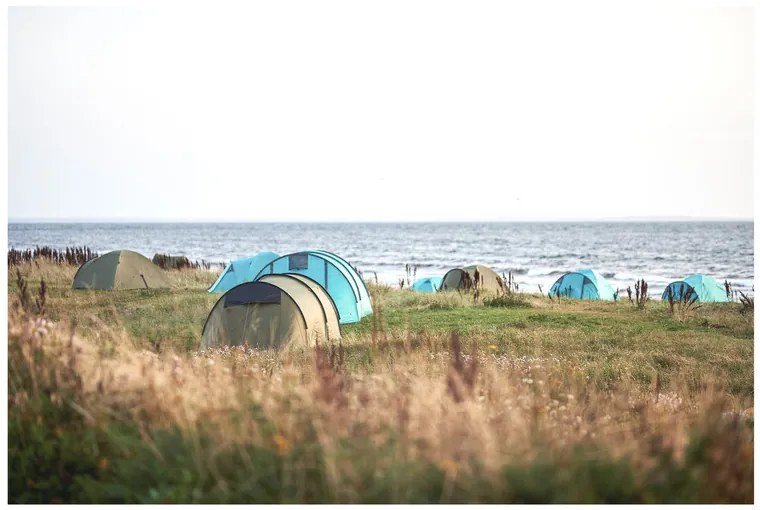 Grand Canyon Tunelový stan Robson 3, pre 3 osoby (Capulet Olive)  (100363966)