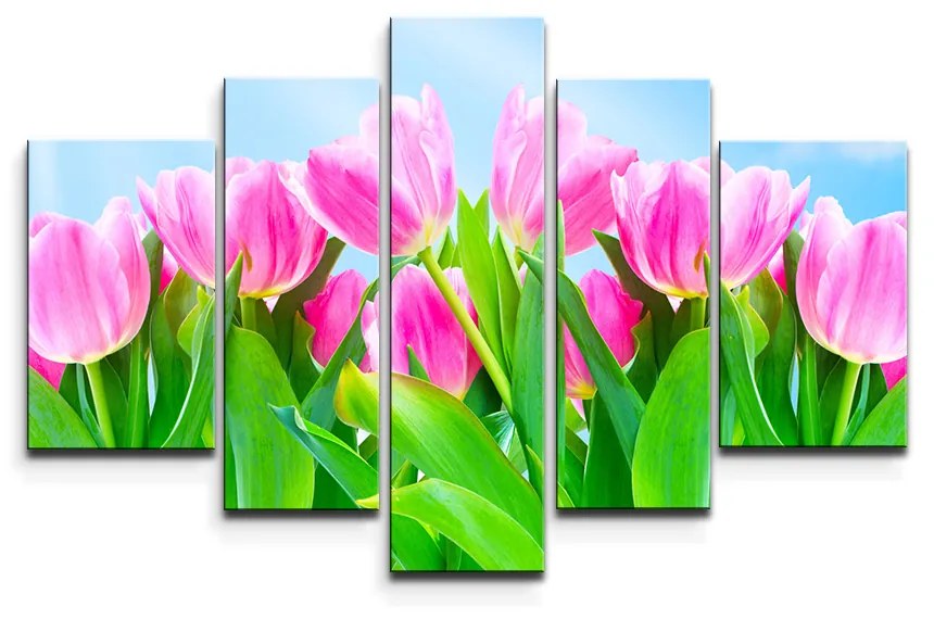Sablio Obraz - 5-dílný Ružové tulipány - 125x90 cm
