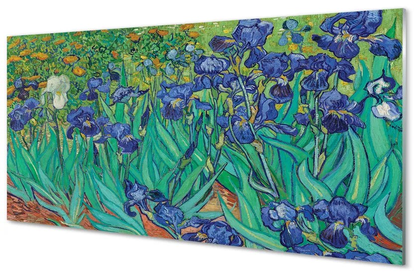 Obraz plexi Umenie kvety dúhovky 125x50 cm