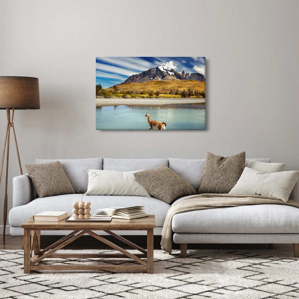 Obraz - Národný park Torres del Paine (90x60 cm)