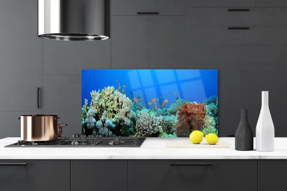 Sklenený obklad Do kuchyne Koralový útes príroda 120x60 cm