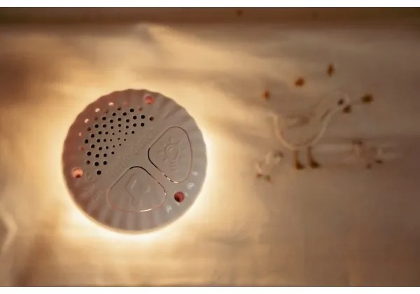 Little Dutch - Uspávací plyšák s melódiou a svetlom Newborn Naturals hus