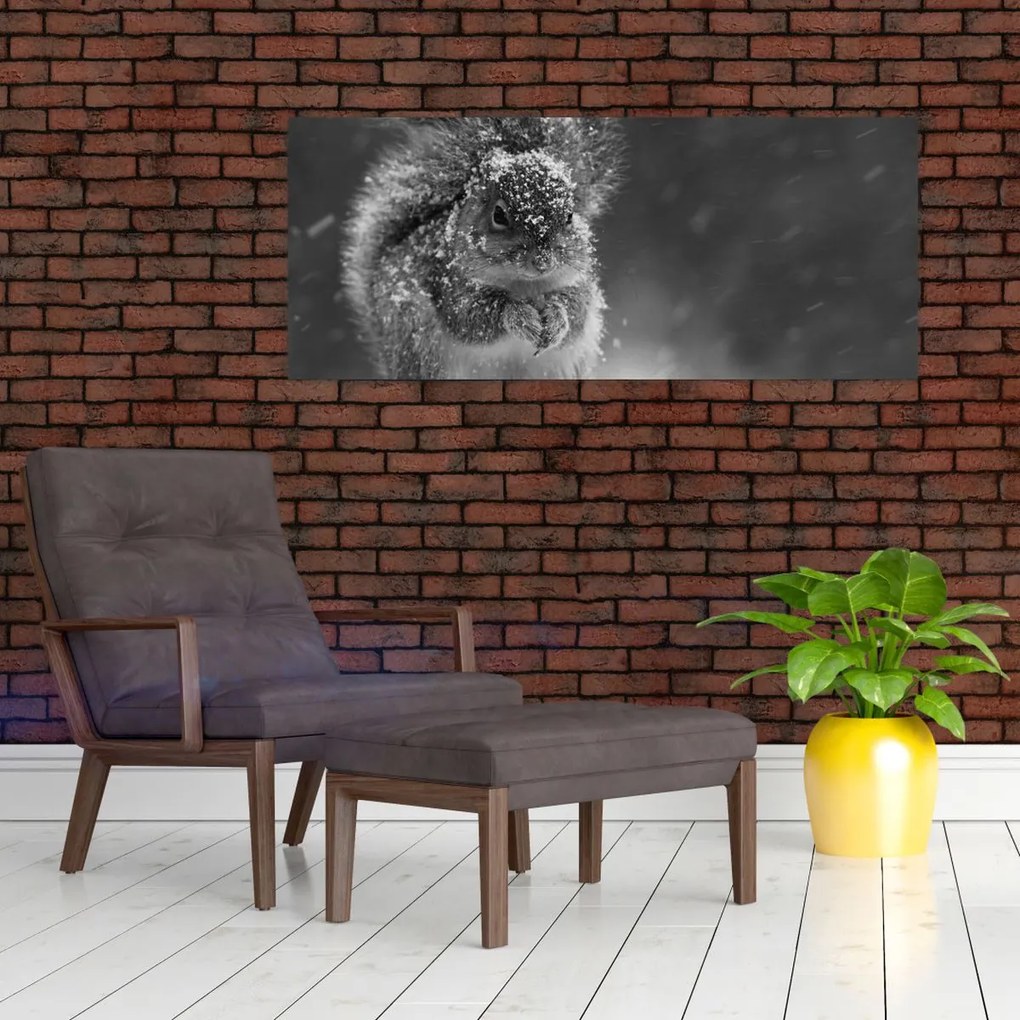 Obraz - Veverička v zime (120x50 cm)