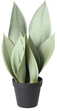 Eglo 428387 - Umelá rastlina v kvetináči TOBETSU 41,5x28,5 cm