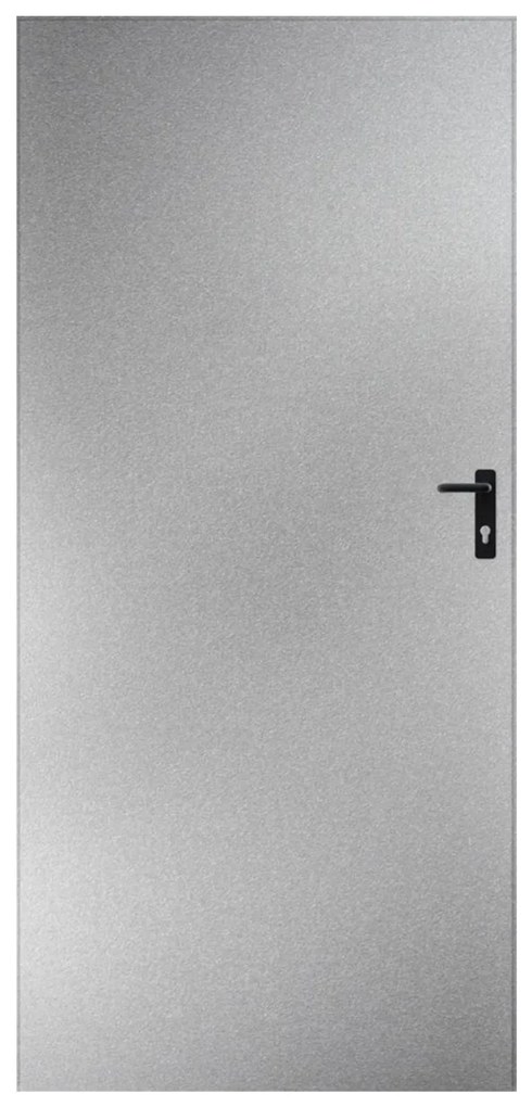 Plechové dvere 90, ľavé, pozinkované