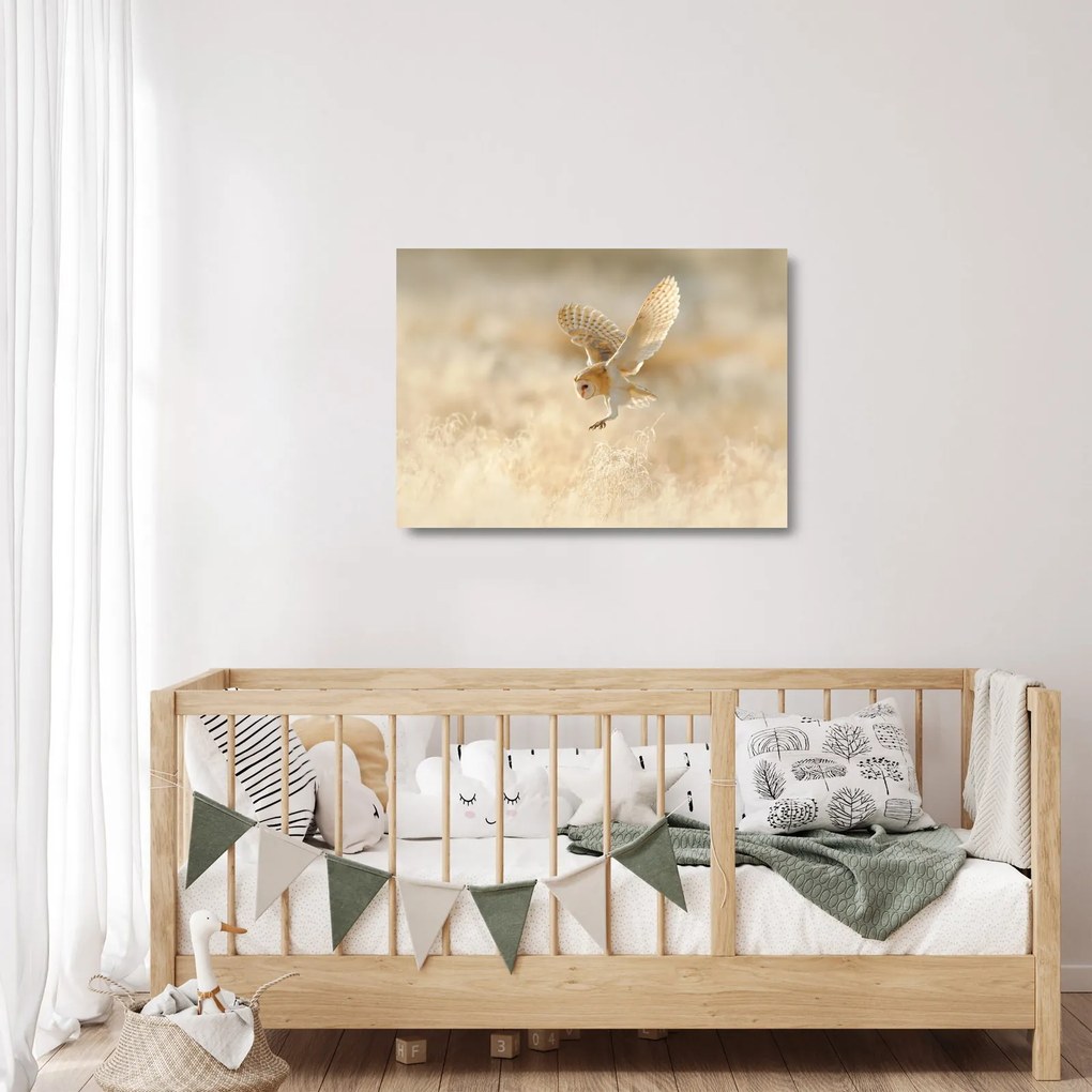 Sklenený obraz - Sova pálená (70x50 cm)