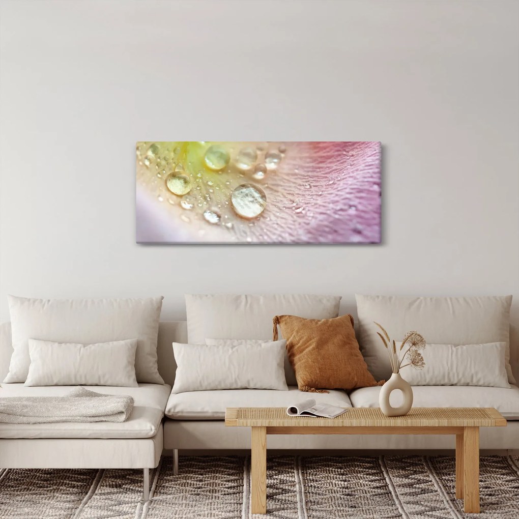 Obraz - Kvapôčky (120x50 cm)