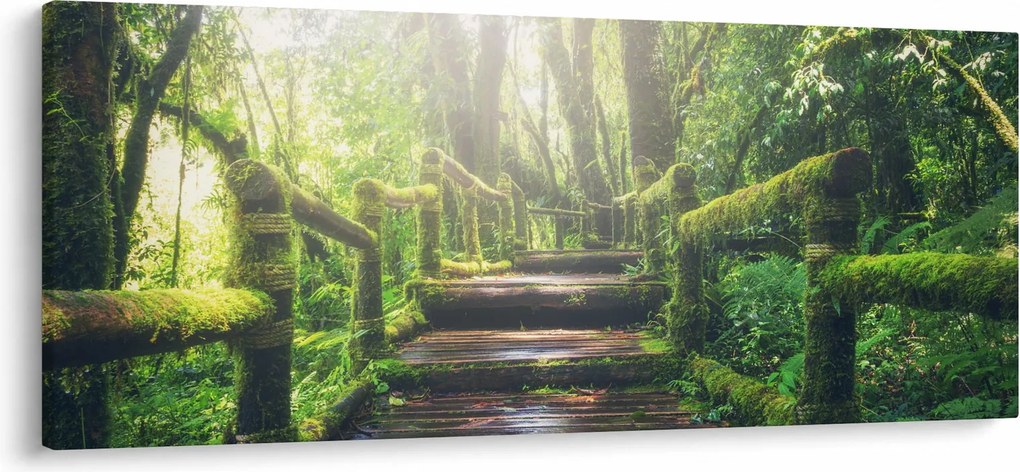 Obraz - drevené schody v lese (120x50 cm)