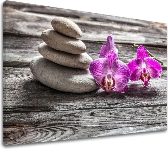 Obraz na plátne FENG SHUI_060-11