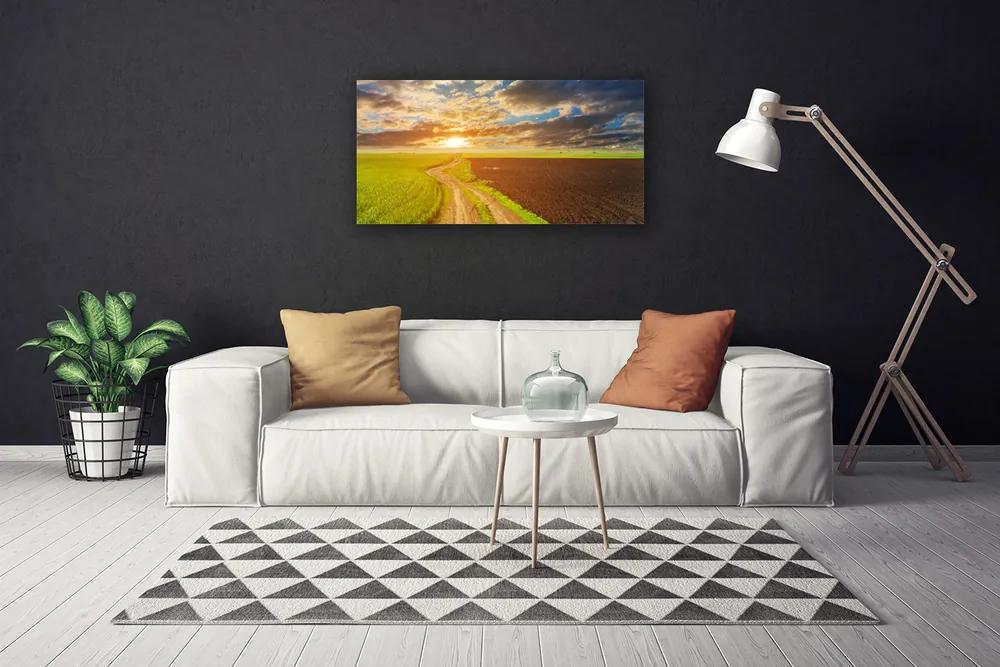 Obraz Canvas Pole nebo slnko príroda 120x60 cm