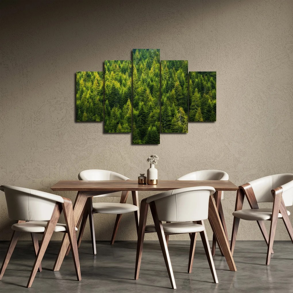 Obraz - Hustý les (150x105 cm)