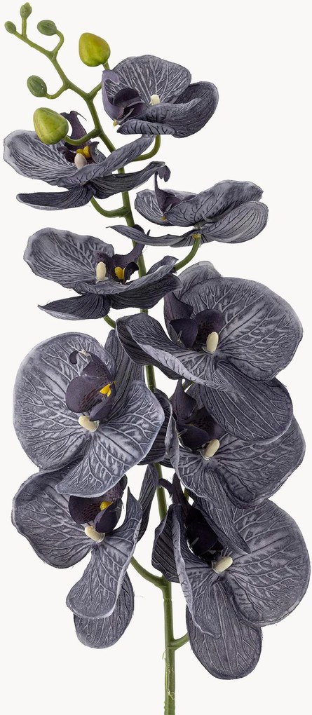 Rastlinné dekorácie Orchid, 2 ks