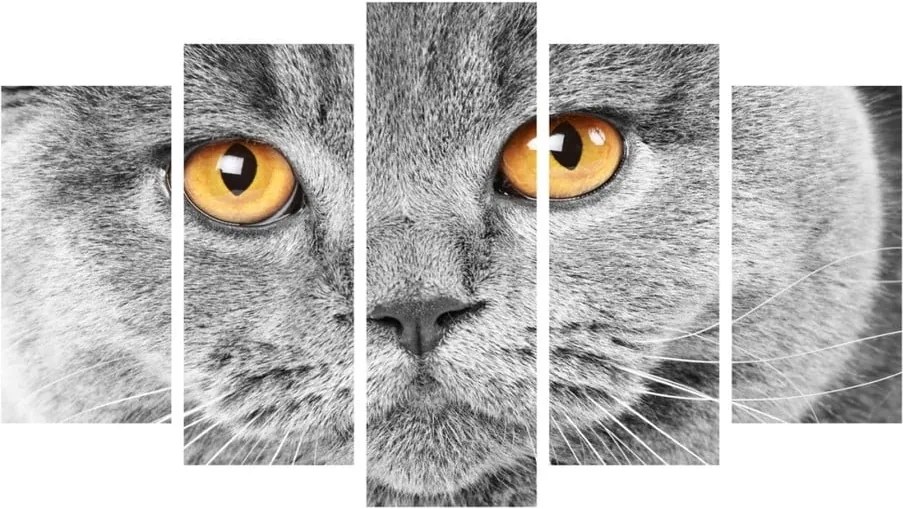 Viacdielny obraz Insigne Cat Eyes, 102 × 60 cm