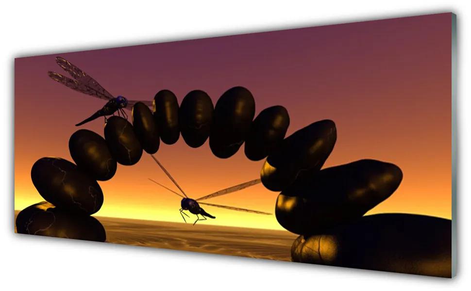 Obraz plexi Vážky kamene umenie 125x50 cm