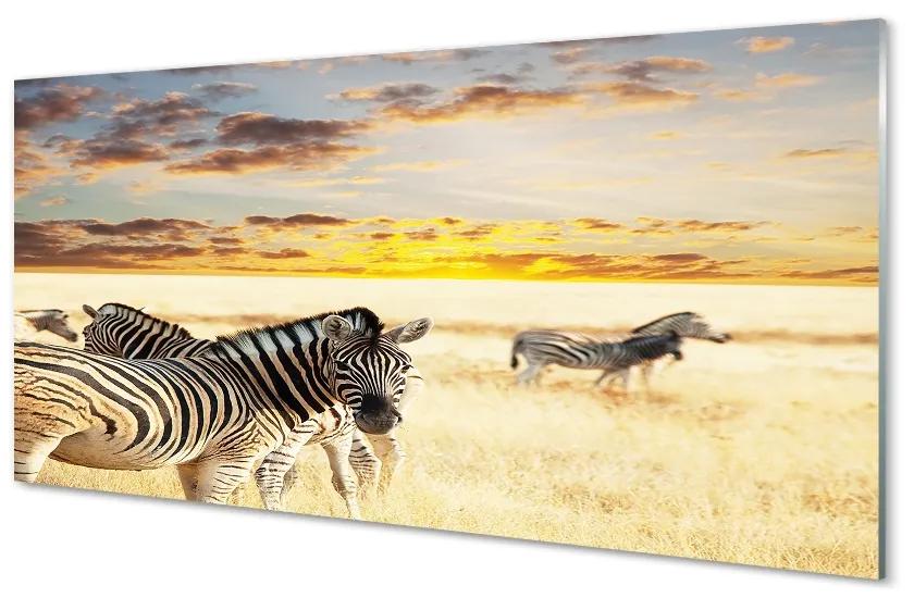 Sklenený obraz Zebry poľa sunset 140x70 cm