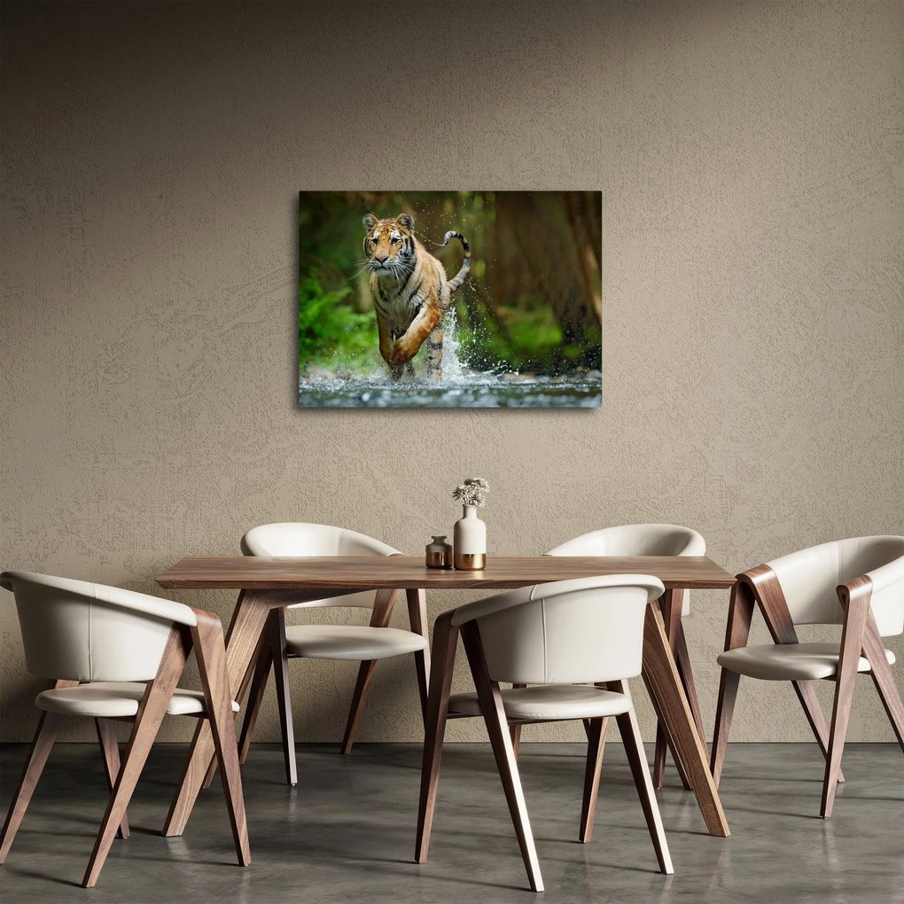 Obraz bežiaceho tigra (70x50 cm)