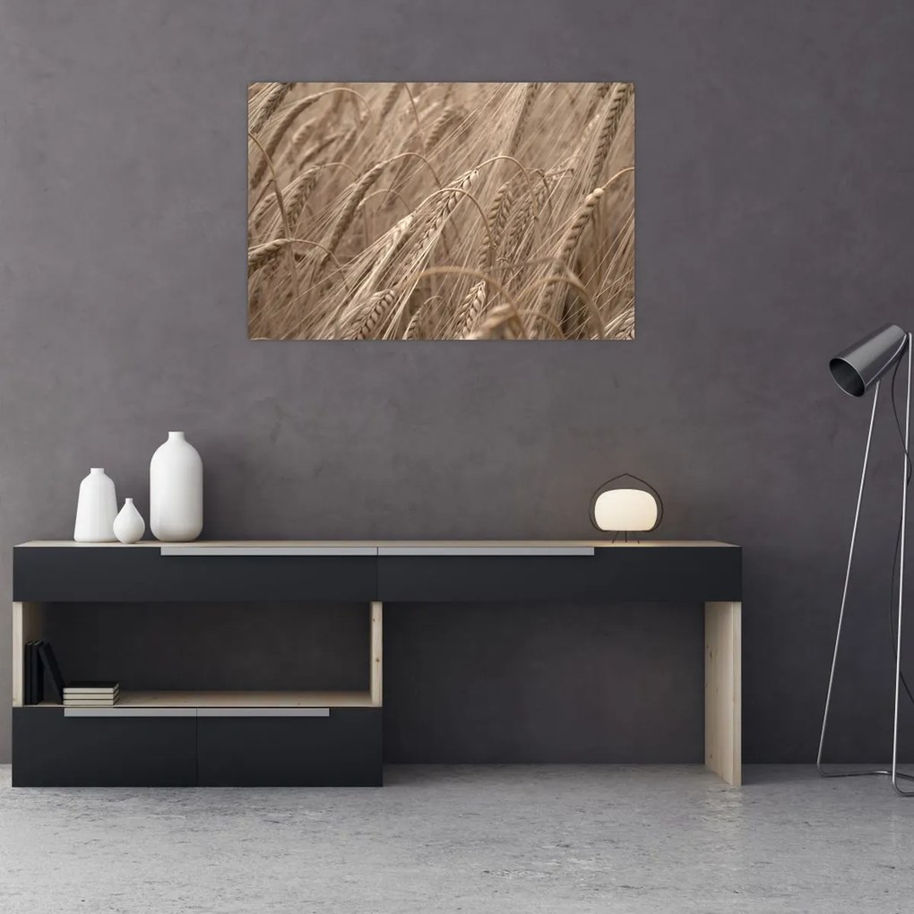Obraz - Zlaté pole (90x60 cm)