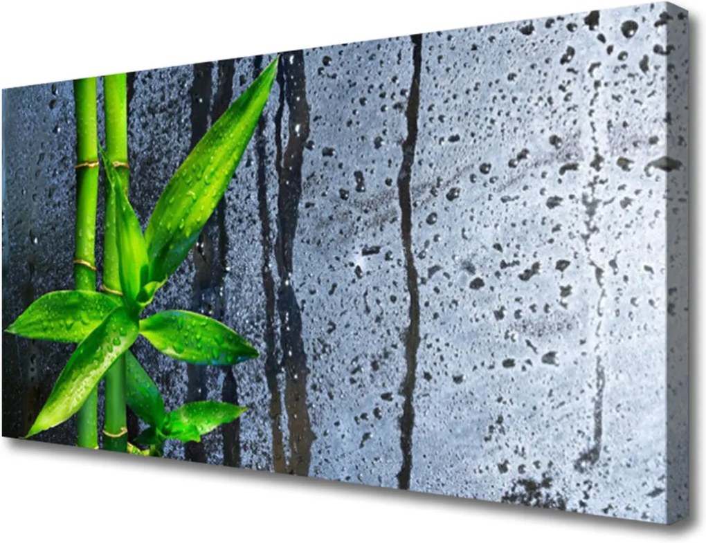 Obraz Canvas Bambus List Rastlina Príroda