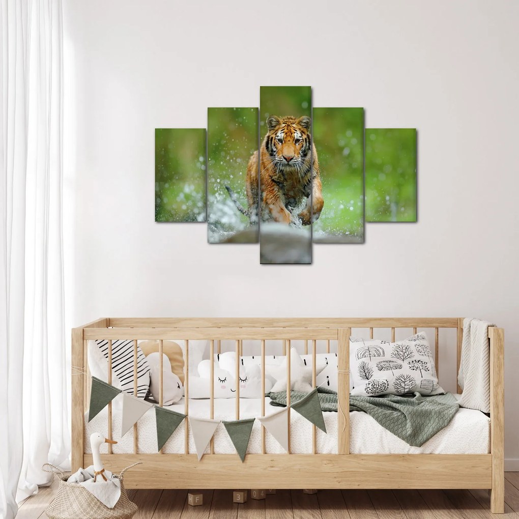 Obraz - Bežiaci tiger (150x105 cm)