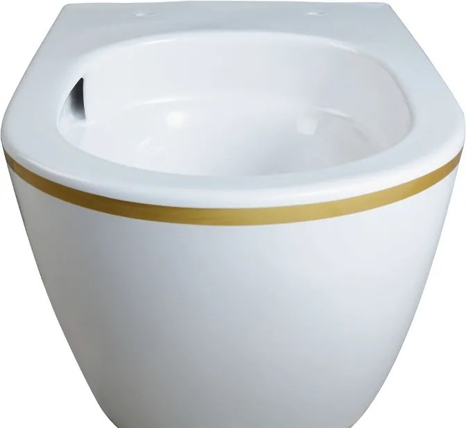 BPS-koupelny Podomietkový modul Geberit DuoFix s WC misou MIZU-WH-GL-TR-03 + ovládacie tlačidlo Delta 20 biela