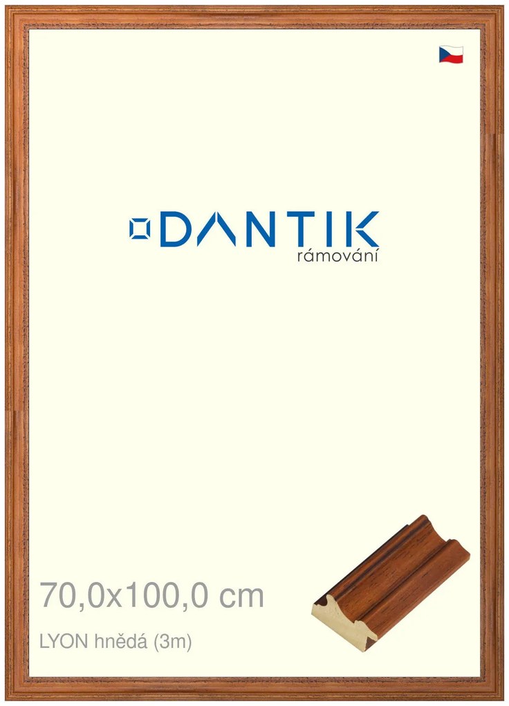 DANTIK rám na obraz 70x100 | LYON hnědá (Plexi Čiré)