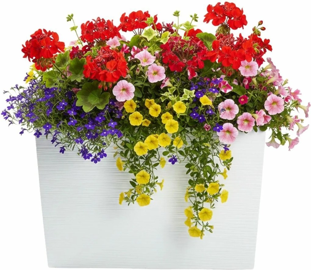 Plastový kvetináč Bloom Riflo 36,2x56,1 cm biely