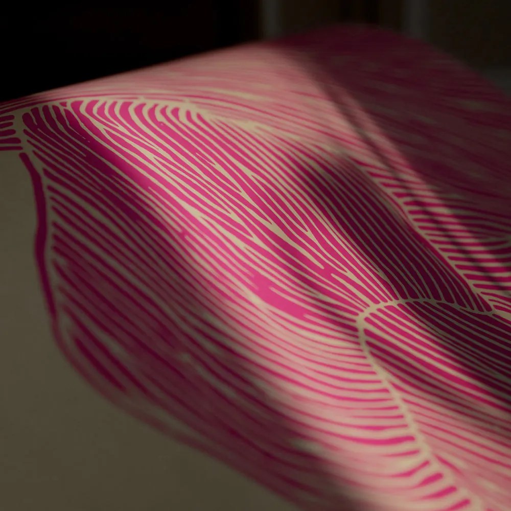 The Poster Club Plagát The Line - Pink by Rebecca Hein 50x70 cm