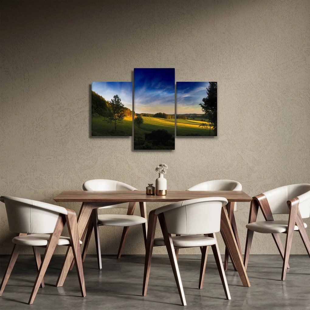 Obraz - Horská lúka (90x60 cm)