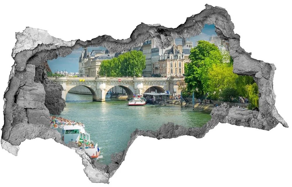 Fototapeta diera na stenu 3D Seine v paríži nd-b-73852810